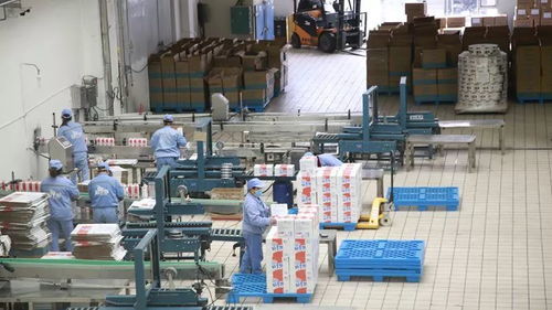 打造一片凈土，開(kāi)足馬力保牛奶制品安全供應(yīng)與勞動(dòng)保護(hù)用品銷售